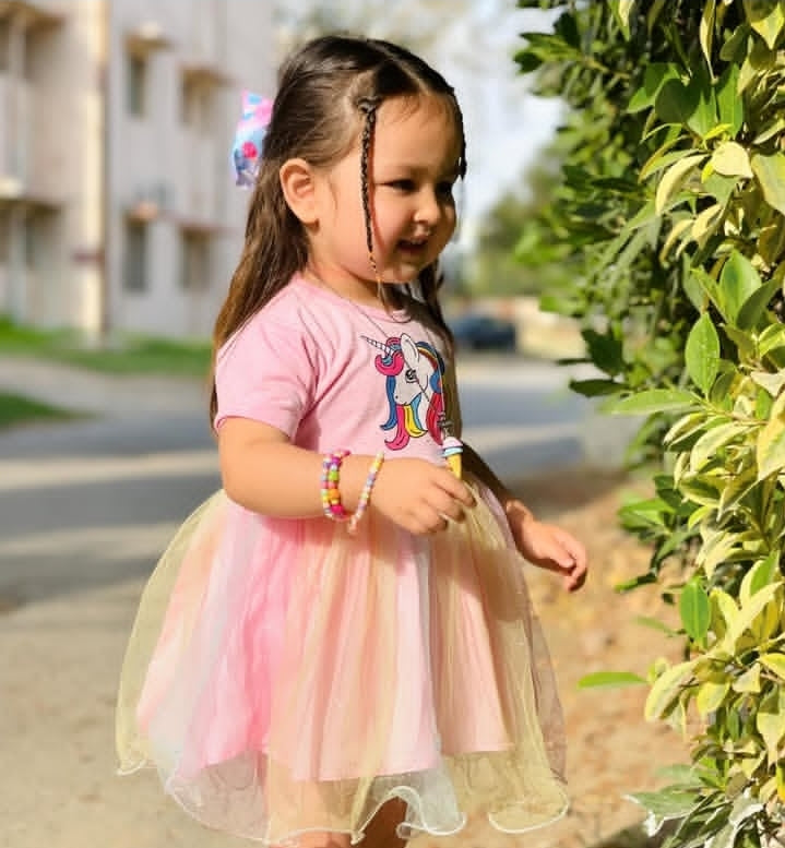 Unicorn Dream Baby Girl Frock – Soft Net Party Wear Dress